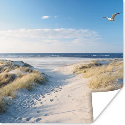Produktbild von MuchoWow® Poster Düne - Möwe - Strand - Meer - Sonne 50x50 cm - Wohnzimmerdekoration