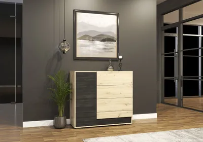 Produktbild von Kommode Sideboard Kommode mit vier Schubladen Artisan Eiche/Schwarze Norwegische Kiefer BAFRA 4S 100cm