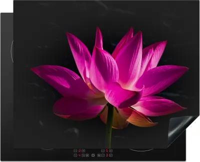 Produktbild von KitchenYeah© Herdabdeckplatte Lotus - Rosa - Blume , 65x52cm, Küche Deko, Glaskeramikkochfeld Herdabdeckung, Abdeckplatte fùr Kochfeld