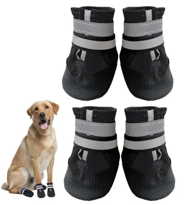 Image de Lot de 4 chaussures imperméables pour chien avec laisse réfléchissante