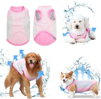 Produktbild von Famanu Hundekühlweste Atmungsaktives Mesh - Sommerkühl und komfortabel für kleine und mittelgroße Hunde