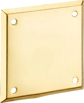 Image de Plaque de propreté pour porte d'entrée, 60x60mm, laiton - THIRARD