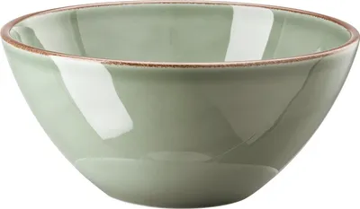 Produktbild von Rosenthal Bowl 22 cm Moss 10660-405405-10569