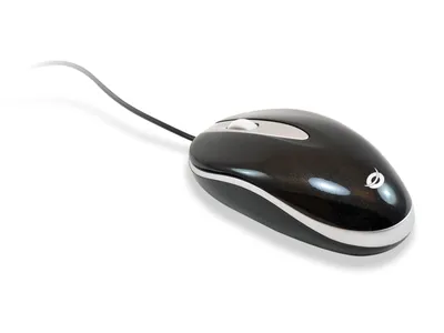 Produktbild von CONCEPTRONIC Optical        USB Maus schwarz/ CLLMEASY
