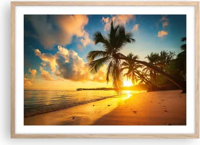 Produktbild von Gerahmtes Poster - Rahmen in heller Eiche - Meer Strand Palme - 70x50 cm - Wand Bild - Wanddeko - Wandbilder - Wandposter - Bilderrahmen - Bilder - Kunstdruck - Wandbild - P2NAA70x50-3922