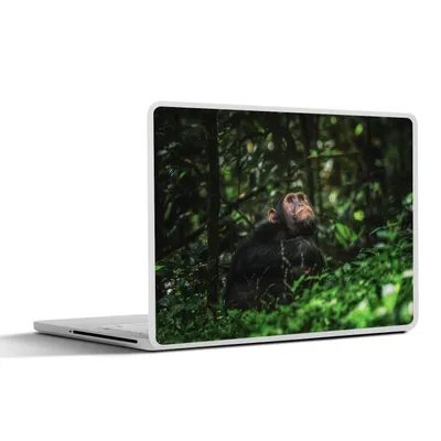Produktbild von MuchoWow® Laptop Aufkleber Sticker Cover App zwischen Grünpflanzen im Dschungel 31x22.5 cm - Laptop-Deko
