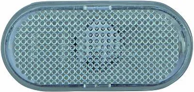 Produktbild von DIEDERICHS 4414778 Blinker Blinkleuchte für RENAULT CLIO II (BB0/1/2, CB0/1/2) Twingo III Schrägheck (BCM) KANGOO (KC0/1) KANGOO Express (FW0/1)