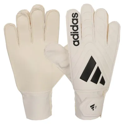Zdjęcie produktu dla Rękawica Adidas rękawice Copa Gl Clb IQ4016