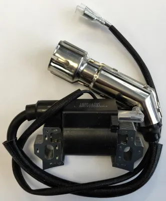 Produktbild von Zongshen 168Fb 6.5Hp Zündspule 100009241