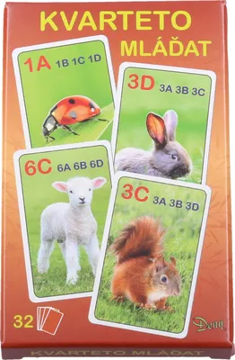 Produktbild von Quartett der Junglöwen