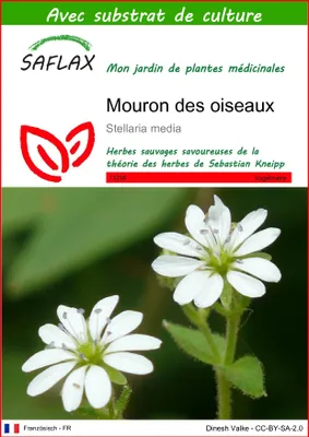 Image de SAFLAX  - Mouron des oiseaux - 1000 graines - Avec substrat - Stellaria