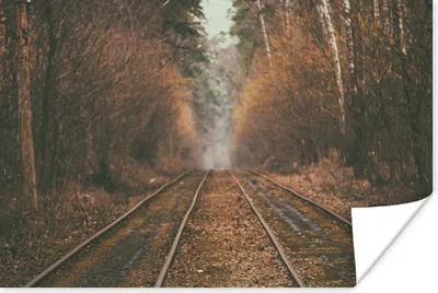 Produktbild von MuchoWow® Poster Bahnstrecke - Weg - Wald - Baum 120x80 cm - Bilder