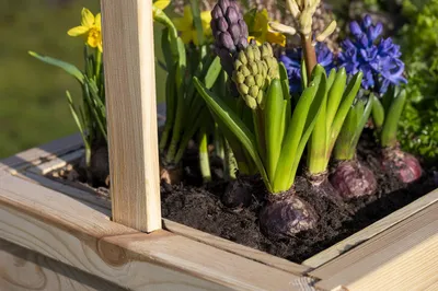 Imagen del producto de Cama elevada de madera maciza, con forro de tela para plantas, de 80x40x145 cm, ideal para jardín y balcón