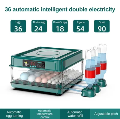 Zdjęcie produktu dla Automatyczny inkubator - Pojemność: 36 jaj - Wyświetlacz cyfrowy i regulacja temperatury - Automatyczne obracanie jaj - Automatyczne uzupełnianie wody - Zasilanie: 220V/12V