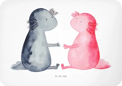 Produktbild von Mr. & Mrs. Panda magnet Axolotl Liebe - Weiß - Geschenk, küchenmagnet, Valentinstag, Lurch, Kühlschrankmagnet, whiteboardmagnet, haftmagnet, zettelhalter