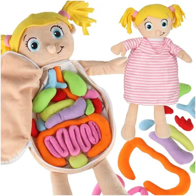 Zdjęcie produktu dla Lalka maskotka zabawka edukacyjna nauka anatomii dziewczynka