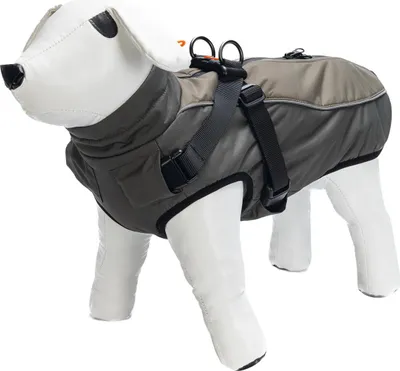 Produktbild von Beeztees Hundemantel Milo mit Hundegeschirr grau, Größe:24 cm