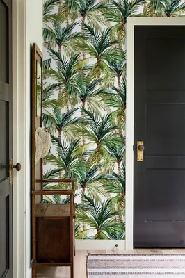 Produktbild von Coloray Fototapete 360x250 cm Vlies-Fototapete - Palme-Dschungelbäume Blumen