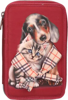 Produktbild von Depesche 13674 TOPModel 2 Fach Federtasche FUR Ever Friends