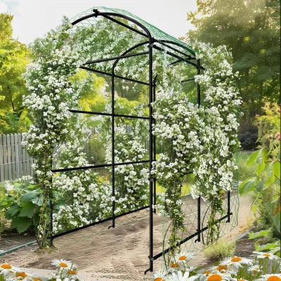 Image de Support pour plantes grimpantes - Arche de jardin - Structure pour plantes grimpantes - Support pour plantes - Hauteur : 222 cm