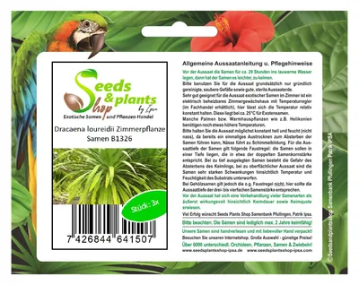 Produktbild von 3x Dracaena cochinchinensis Thai Drachenbaum Garten Pflanzen - Samen B1326