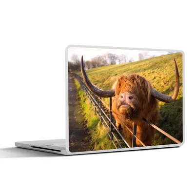Produktbild von MuchoWow® Laptop Aufkleber Sticker Cover Scottish Highlander - Zaun - Gras 36.5x27.5 cm - Laptop-Sticker