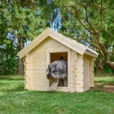 Image de Niche d'extérieur pour petits chiens - Niche en bois pour petites races, toit imperméable 76 x 99 x H80 cm, taille S, Timbela M401-1