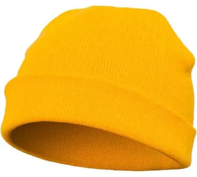 Image de Casquette Flexfit TN1327 (taille unique) (dorée)