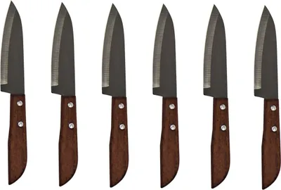 Produktbild von 6er-Pack [ 6x #503 ] KIWI Thailand Obstmesser mit Holzgriff 19cm / Messer