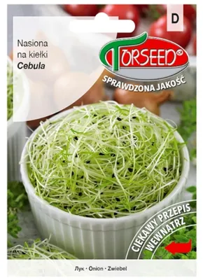 Image de Graines d'oignon à faire germer, 10 g - Torseed