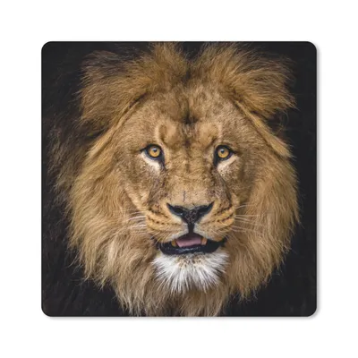 Produktbild von MuchoWow® Mauspad Mousepad Löwe - Porträt - Schwarz - Tiere 20x20 cm - Mousepads - Maus Mat - Pad - Mausunterlage - Desk Mat - Bureauartikeln