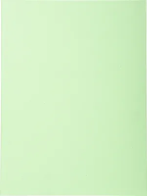 Image de Exacompta 5x 100 chemises Forever® 170 100% recyclé 24x32cm Vert Pré 420004E