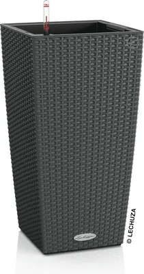 Obrázok produktu pre LECHUZA CUBICO Cottage 30 All-in-One Set - Topfpflanzer - Freistehend - Polypropylen (PP) - Grau - Indoor/Outdoor - Schwarz