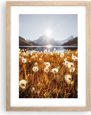 Produktbild von Gerahmtes Poster - Rahmen in heller Eiche - Löwenzahn Sonne Feld - 30x40 cm - Wand Bild - Wanddeko - Wandbilder - Kunstposter - Wandposter - Bilderrahmen - Bilder - Kunstdruck - P2NPA30x40-5177