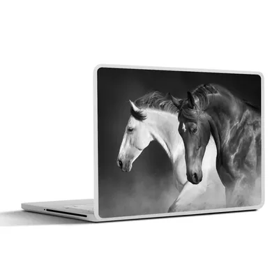 Produktbild von MuchoWow® Laptop Aufkleber Sticker Cover Pferde - Tiere - Schwarz - Weiß - Porträt 30x22 cm - Laptop-Sticker