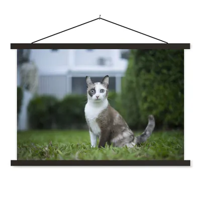 Produktbild von MuchoWow® Textilposter Katze - Siamese - Gras - Mädchen - Kinder - Jungen - Kind 120x80 cm mit schwarzem Rahmen - Wanddeko