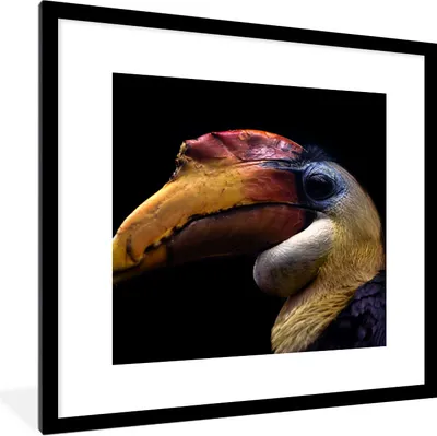 Produktbild von MuchoWow® Gerahmtes Poster Vogel - Schnabel - Schwarz 40x40 cm - Poster mit Schwarzem Bilderrahmen Wandposter Rahmen Foto Bilder - Poster - Plakat im Rahmen