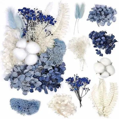 Produktbild von Famanu Trockenblumen Set - Echte Gepresste Blumen - Vielseitig Einsetzbar - 21x14 mm