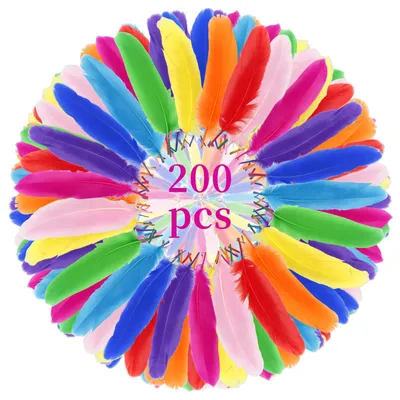 Image de 200 plumes colorées, d'une longueur de 10 à 15 cm