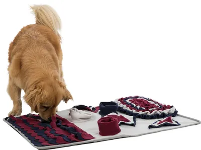 Produktbild von TRIXIE Hundespielzeug Intelligenz Dog Activity Strategiespiel „Schnüffelteppich“
