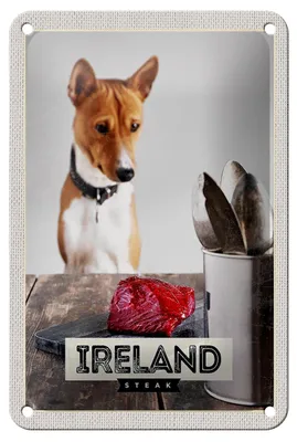 Produktbild von Blechschild Reise 12x18cm Irland Europa Steak Hund Insel Dekoration