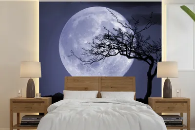 Produktbild von MuchoWow® Fototapete für Wohnzimmer oder Schlafzimmer Wandtapete Vinyl Motivtapete Mond - Baum - Schwarz - 220x220 cm - Tapeten