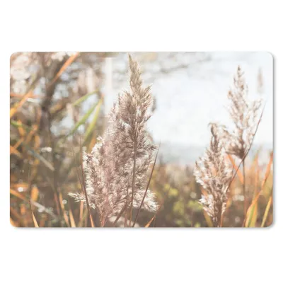 Produktbild von MuchoWow® Mauspad Mousepad Schilf - Sonne - Pflanze 27x18 cm - Mousepads - Maus Mat - Pad - Mausunterlage - Büroartikel - Desk Matten