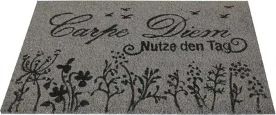Produktbild von Bestlivings rohožka na boty z kokosového vlákna 40x60cm v šedé barvě ( Carpe Diem )