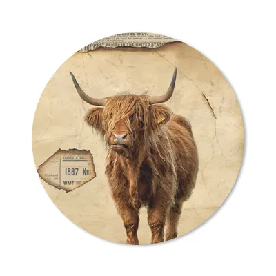 Produktbild von MuchoWow® Mauspad Mousepad Schottischer Highlander - Vintage - Kuh 50x50 cm - Mousepads - Maus Mat - Pad - Mausunterlage - Vinyl