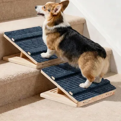 Image de Ramp pliable en bois pour chien, idéale pour les escaliers, avec tapis antidérapant