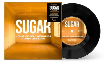 Immagine prodotto di Sugar: House of Dead Memories / Long Live Love
