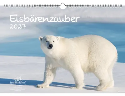 Produktbild von Eisbärenzauber DIN A3 Kalender für 2027 Eisbär - Seelenzauber