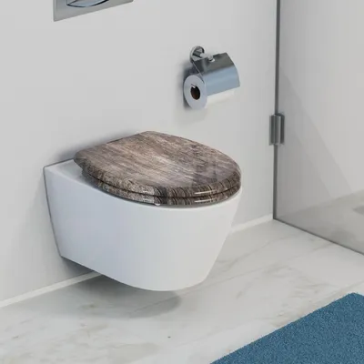 Productafbeelding van Famanu toiletzitting van Duroplast met Softclose-mechanisme - met houtlookmotief