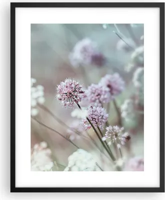 Produktbild von Gerahmtes Poster - Schwarzer Rahmen - Wiese Knoblauch Blume - 40x50 cm - Wand Bild - Wanddeko - Wandbilder - Kunstposter - Wandposter - Bilderrahmen - Bilder - Kunstdruck - Wandbild - P2BPA40x50-4177